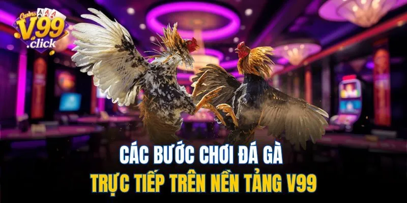 Các bước chơi đá gà trực tiếp trên nền tảng V99