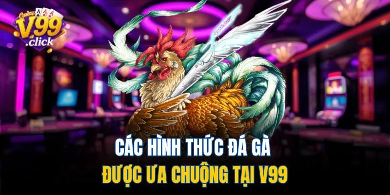 Các hình thức đá gà được ưa chuộng tại V99