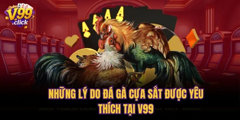 Những lý do đá gà cựa sắt được yêu thích tại V99