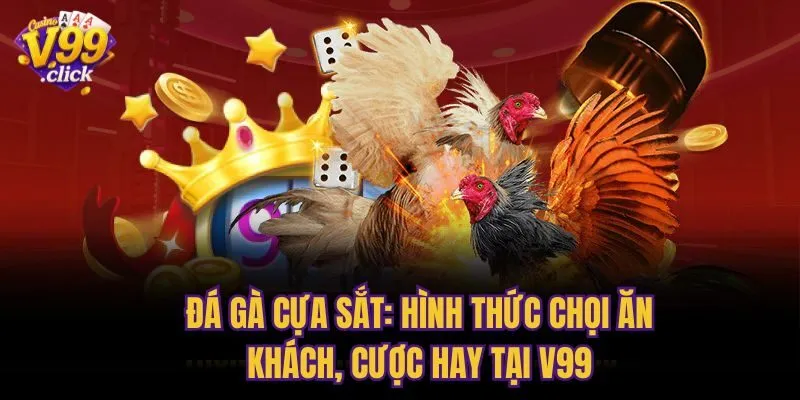 Đá Gà Cựa Sắt: Hình Thức Chọi Ăn Khách, Cược Hay Tại V99