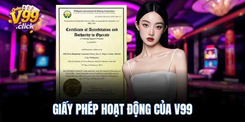 Giấy phép hoạt động của V99