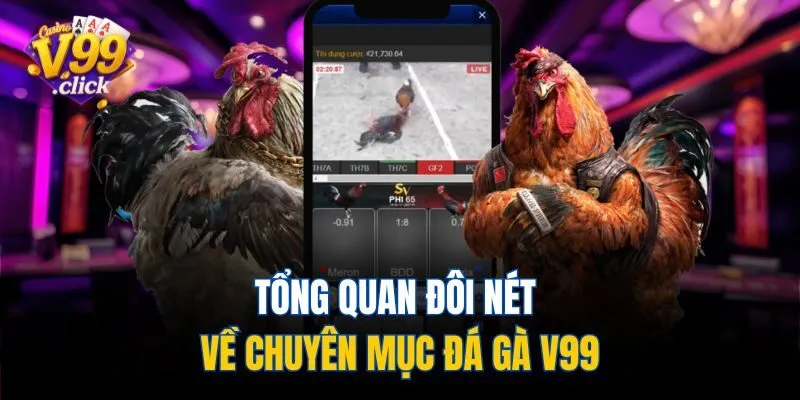 Tổng quan đôi nét về chuyên mục đá gà V99