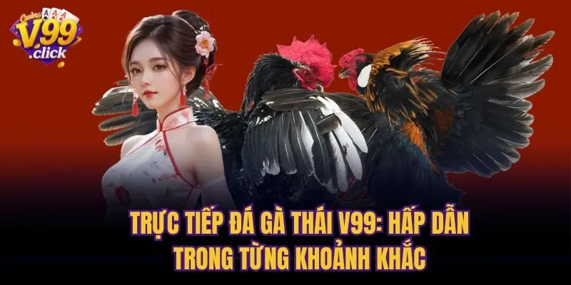 Trực Tiếp Đá Gà Thái V99: Hấp Dẫn Trong Từng Khoảnh Khắc