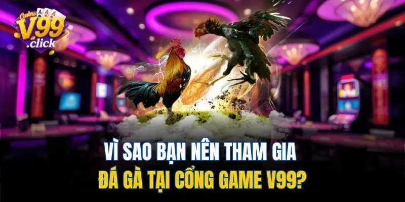 Vì sao bạn nên tham gia đá gà tại cổng game V99?